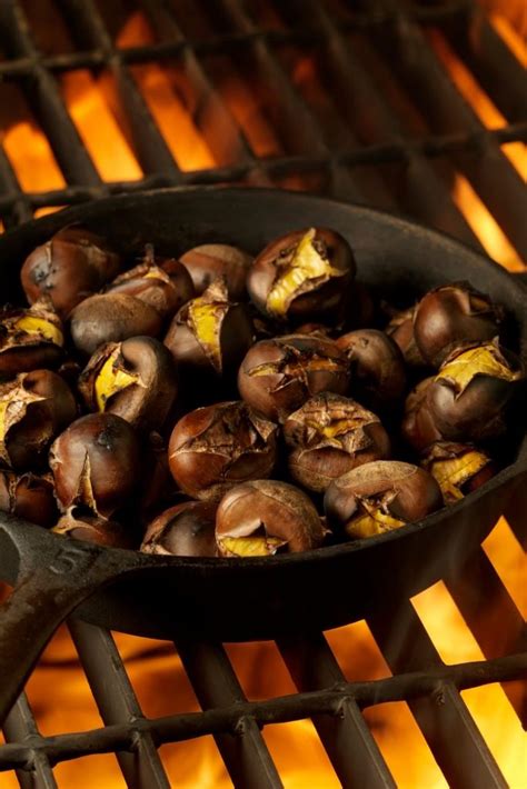 Nov 1, 2016 ... If roasting by the fire, it is advisable to use a chestnut-roasting pan, which looks like any other baking sheet or pan with holes in it. This ...
